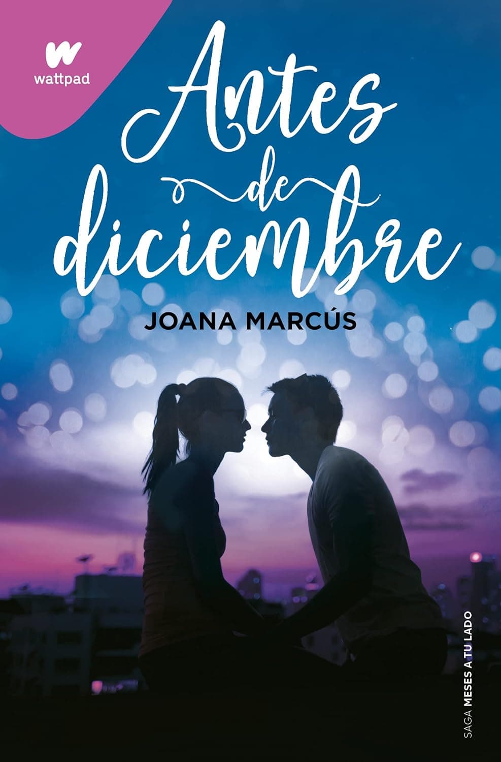 Portada del libro Antes de diciembre
