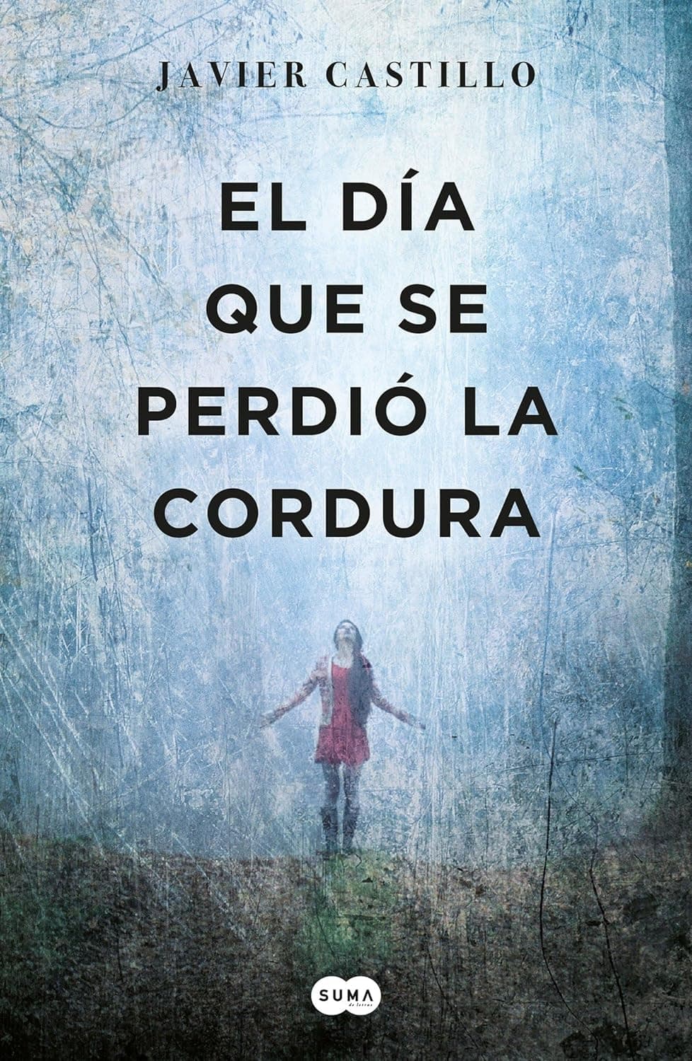 Portada del libro El día que se perdió la cordura