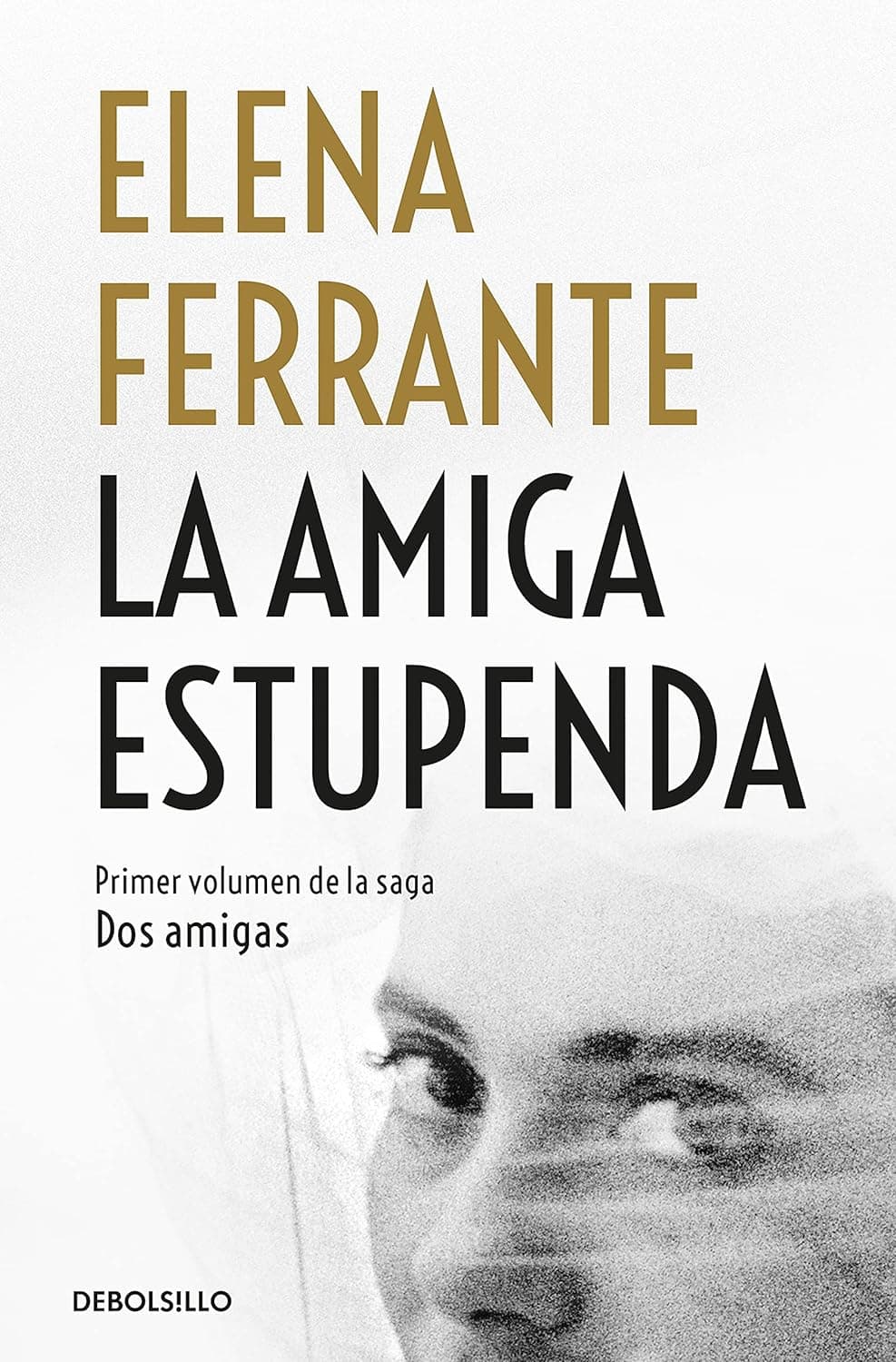 Portada del libro La amiga estupenda
