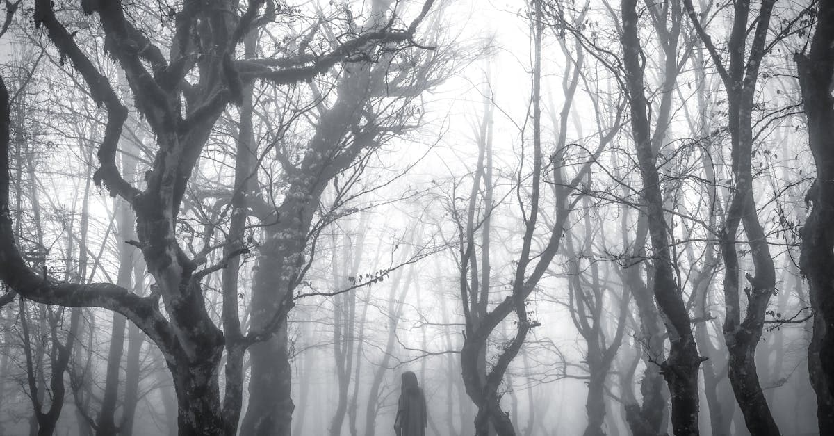 Los Mejores Libros de Terror para Pasar Miedo de Verdad