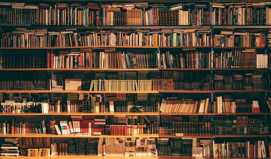 Descubre las partes esenciales de un libro: estructura y componentes