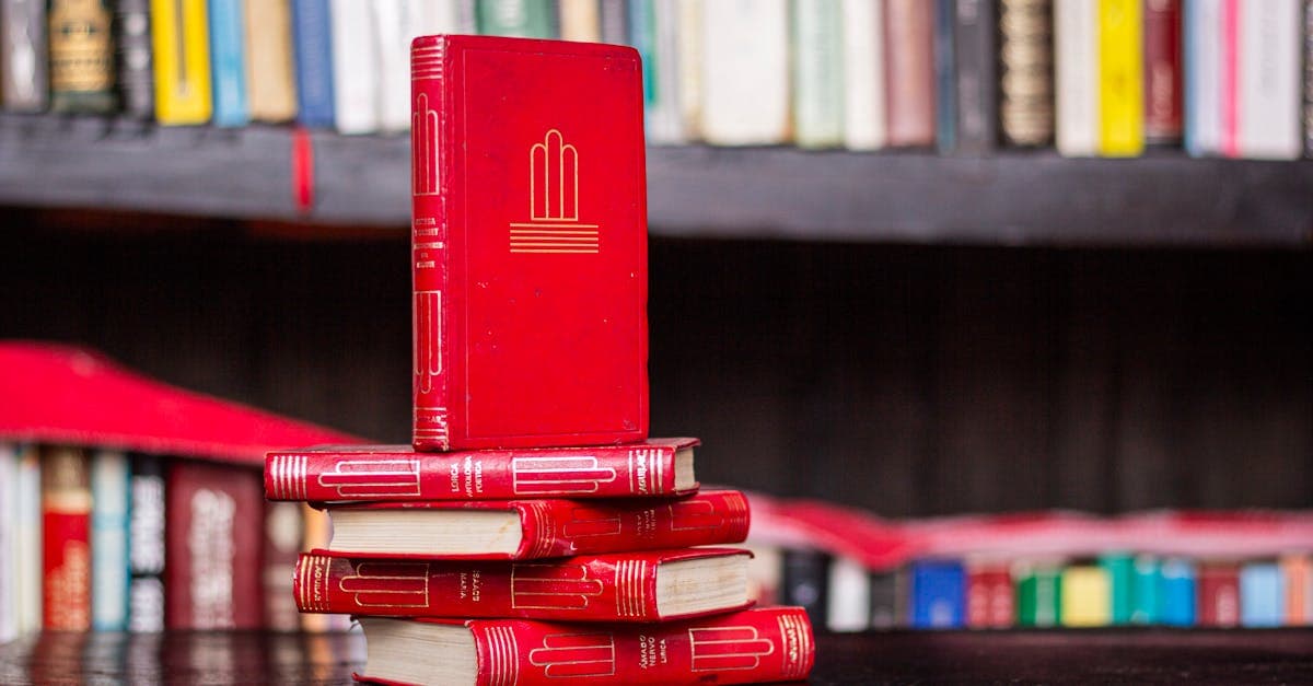 Los Mejores Libros Cortos para Leer Rápido (y Disfrutar)