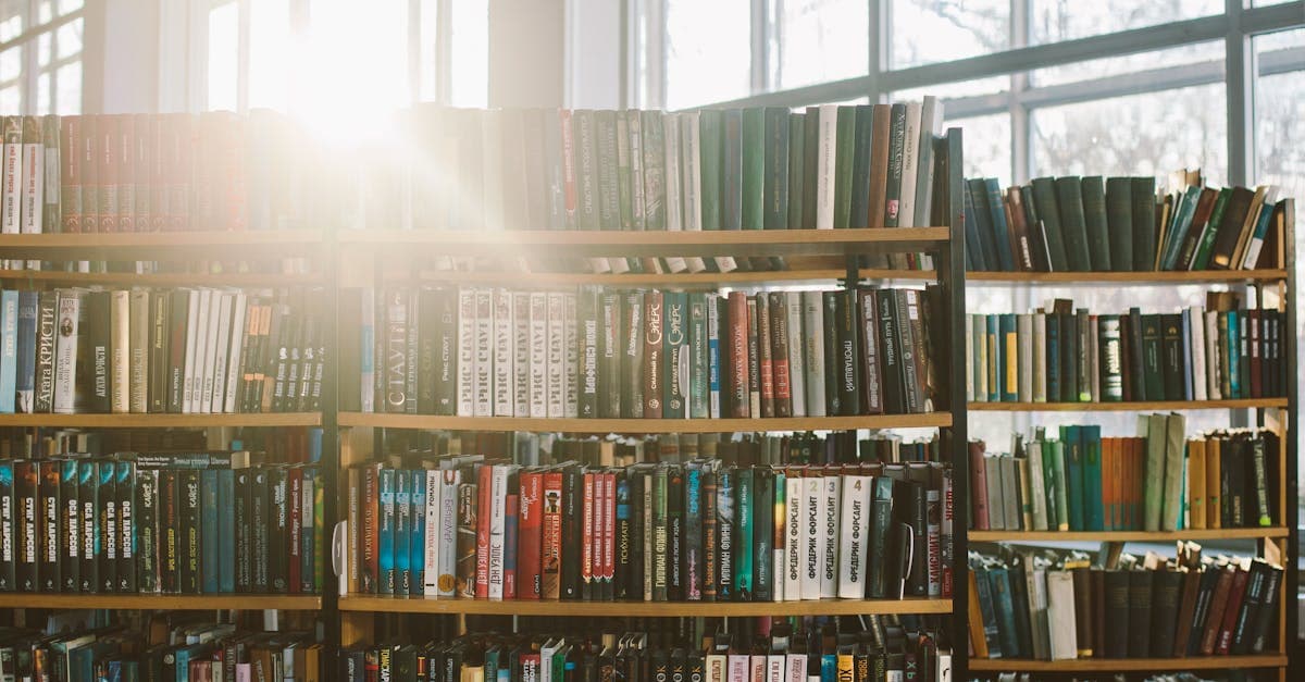 Las Mejores Sagas de Libros para Engancharte Durante Meses